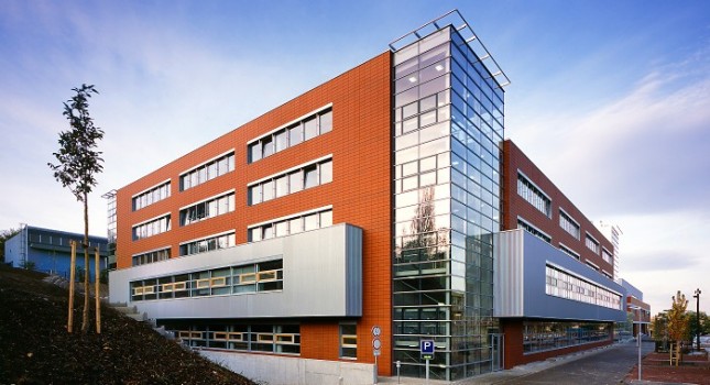 Высшая школа экономики в Чехии - образование в Чехии